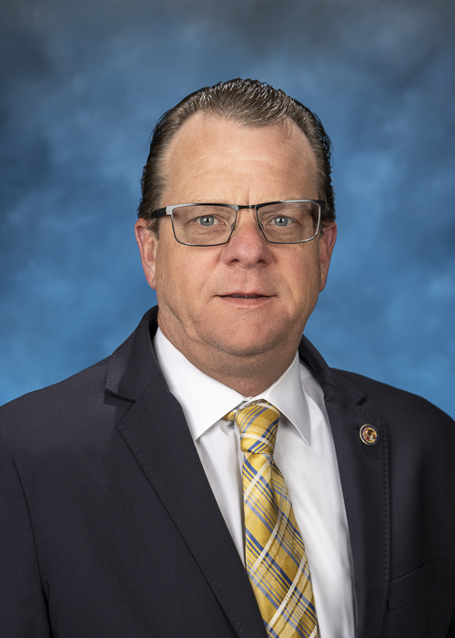 Photograph of  Representative  Lawrence "Larry" Walsh, Jr. (D)